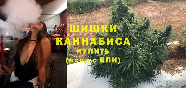 мет Арсеньев