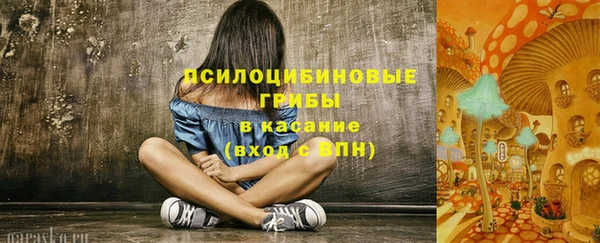 мет Арсеньев