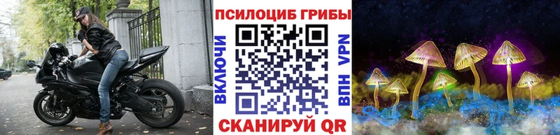 Галлюциногенные грибы GOLDEN TEACHER Горнозаводск