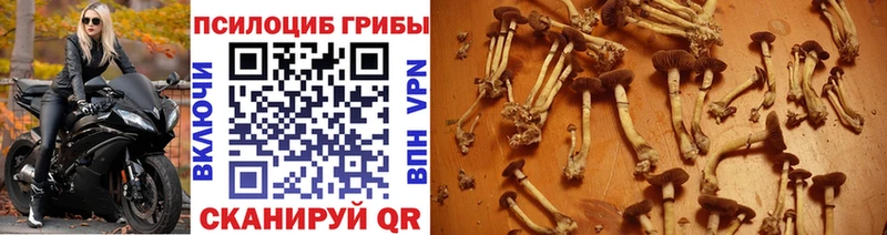 Галлюциногенные грибы ЛСД Горнозаводск